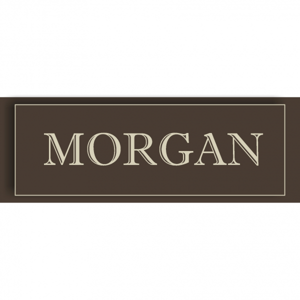 Логотип компании Morgan